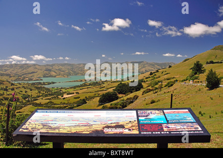 Vista del porto di Akaroa dalla cima del Monte Lookout, Akaroa, Penisola di Banks, Canterbury, Nuova Zelanda Foto Stock