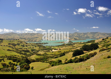 Vista del porto di Akaroa dalla cima del Monte Lookout, Akaroa, Penisola di Banks, Canterbury, Nuova Zelanda Foto Stock