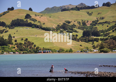 Barry's Bay, Akaroa Harbour, Penisola di Banks, Canterbury, Nuova Zelanda Foto Stock