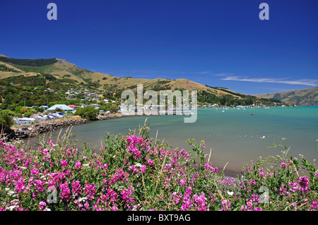 Vista della città e del porto, Akaroa, Akaroa Harbour, Penisola di Banks, Canterbury, Nuova Zelanda Foto Stock