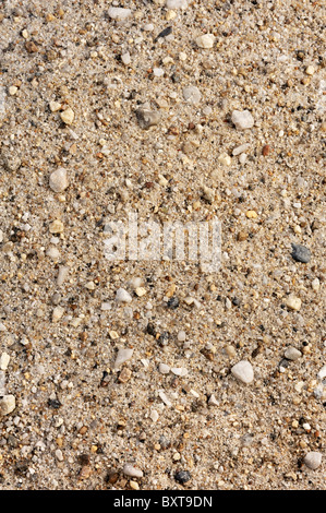 Dettaglio delle texture di sabbia con piccole pietre - sfondo Foto Stock