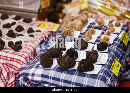 Tartufo nero, tartufi bianchi, mercato, Piemonte, Italia Foto Stock