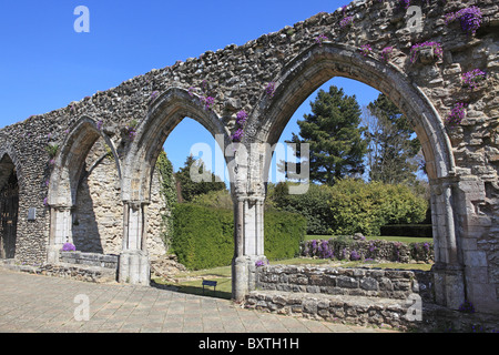 Hampshire, New Forest, Beaulieu Abbey Foto Stock