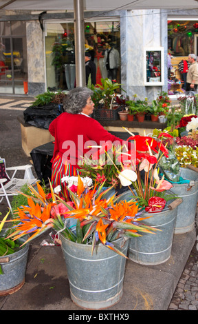 Fiore in stallo il mercato coperto di Funchal, Madeira Foto Stock