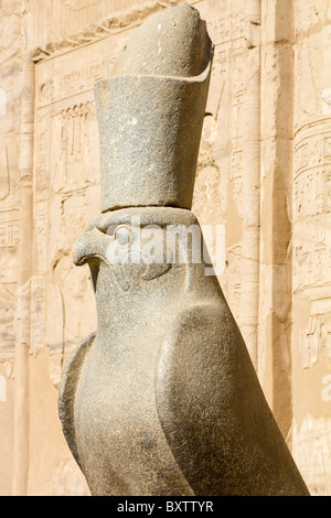 Il Tempio di Edfu, Egitto - Statua del dio Horus 5 Foto Stock