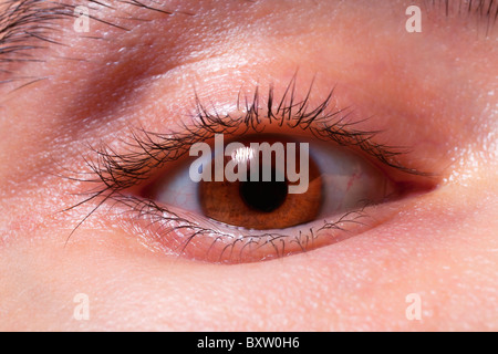 Brown man's eye closeup Foto Stock