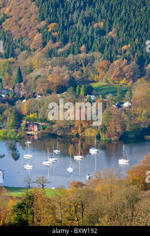 Caduto il parco del piede in autunno, Lago di Windermere, Cumbria, Inghilterra Foto Stock