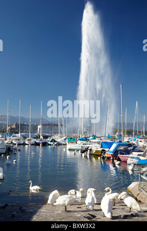 Il Getto De Eau a Ginevra in Svizzera, Europa. Foto Stock