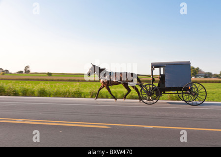 Cavallo e buggy è principale mezzo di trasporto per Amish in Lancaster County, Pennsylvania Foto Stock