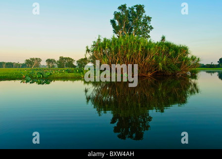 Il Fiume Giallo terra umida, il Parco Nazionale Kakadu, territori del Nord, Asutralia Foto Stock