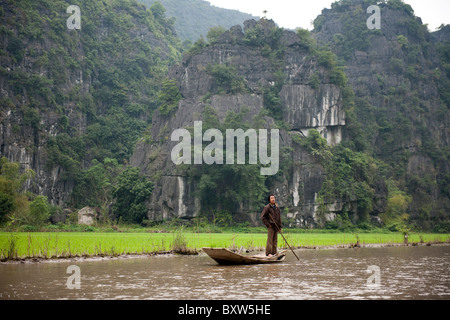 Contadino al suo campo di risone, Tam Coc, Ninh Binh, Vietnam Foto Stock