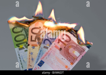 La masterizzazione di banconote crisi monetaria del EUR atteso il collasso della moneta unica immagine simbolo per la morte dell'Euro Foto Stock