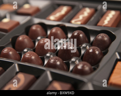 Hotrel Chocolat di lusso di cioccolatini fatti a mano UK - La casella Firma, close-up dettaglio Foto Stock