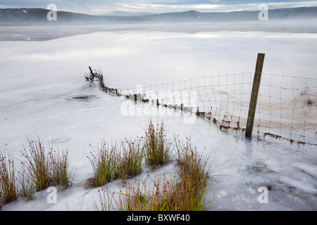 Loch congelati a poco Dam, Eaglesham Moor, vicino a Glasgow, Scozia Foto Stock