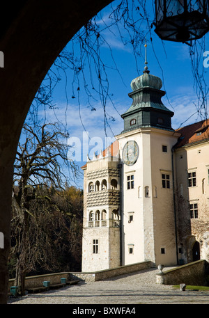 Pieskowa Skala Castello, Ojcow National Park, Polonia Foto Stock