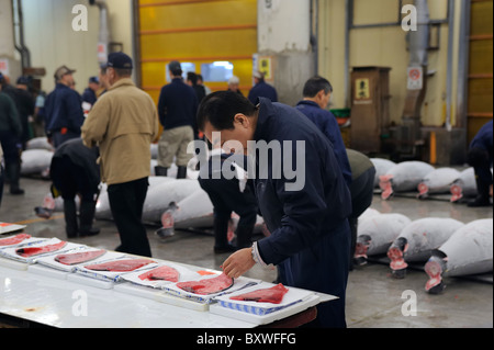 Giapponese uomini ispezione di tonno al tonno asta, il Mercato del Pesce di Tsukiji, Tokyo, Giappone Foto Stock