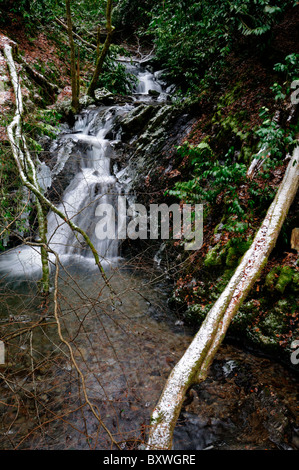 Trasformata per forte gradiente frost ghiaccio sulla copertura del coperchio cascata falls river stream giardini Woodstock Inistioge Kilkenny Irlanda Winter Wonderland Foto Stock