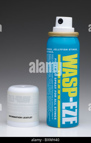 Possibile di wasp-eze spray per tutti i tipi di punture Foto Stock