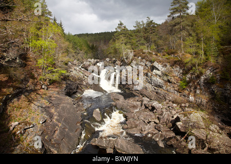 Rogie Falls, Contin, vicino a Inverness, Scotland, Regno Unito Foto Stock