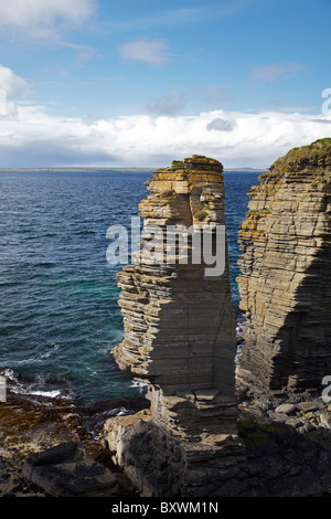 Pile di mare, vicino Noss Head, Wick, Caithness, Highlands, Scotland, Regno Unito Foto Stock