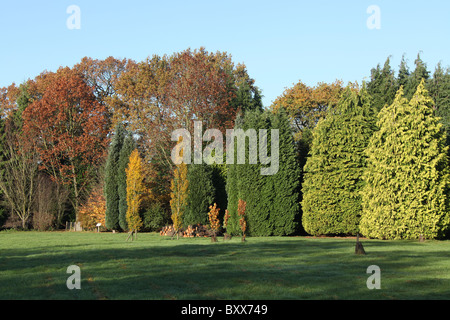 Jodrell Bank Arboretum, Inghilterra. Pittoresca Veduta autunnale della 35-acro Jodrell Bank Arboretum. Foto Stock