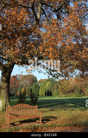 Jodrell Bank Arboretum, Inghilterra. Pittoresca Veduta autunnale della 35-acro Jodrell Bank Arboretum. Foto Stock