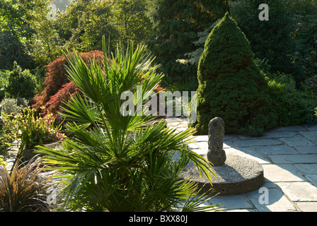 Il giardino di pietra in RHS Rosemoor Devon UK Foto Stock