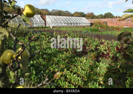 Station wagon di Tatton Park, Inghilterra. Veduta autunnale di Tatton Park murata orto. Foto Stock