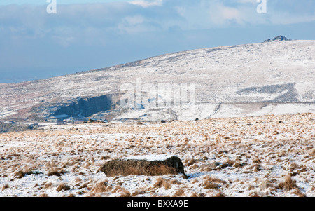 Neve sul Dartmoor nelle vicinanze Merrivale cava, DEVON REGNO UNITO Foto Stock