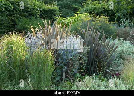 Giardino del fogliame presso RHS Rosemoor Devon UK Foto Stock