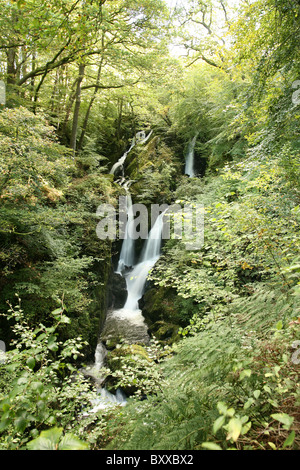 Forza Stockghyll cascata vicino a Ambleside in inglese il Parco Nazionale del Distretto dei Laghi Cumbria Inghilterra England Regno Unito Foto Stock