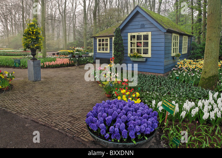 Piccolo cottage negozio di fiori, Giardini Keukenhof Lisse, Paesi Bassi Foto Stock