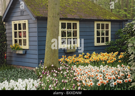 Piccolo cottage negozio di fiori, Giardini Keukenhof Lisse, Paesi Bassi Foto Stock