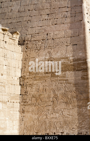 Il sollievo di Ramesse III la caccia in paludi sul retro del primo pilone a Medinet Habu, West Bank, Luxor, Egitto Foto Stock