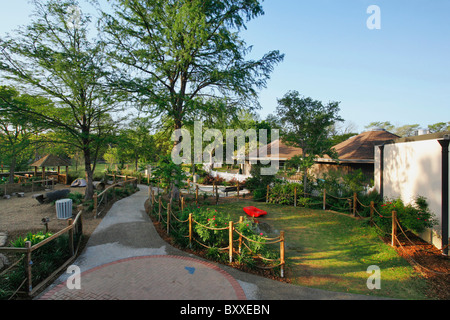 Kronkosky's tiny Tot natura Spot, Zoo di San Antonio, TX Foto Stock