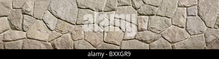Panoramica di una grande pietra e la parete di roccia Foto Stock