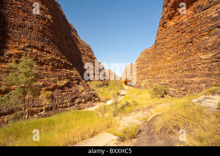 Conica di formazioni rocciose a pasticciare Bungles, Parco Nazionale di Purmululu, Kimberley, Australia occidentale Foto Stock