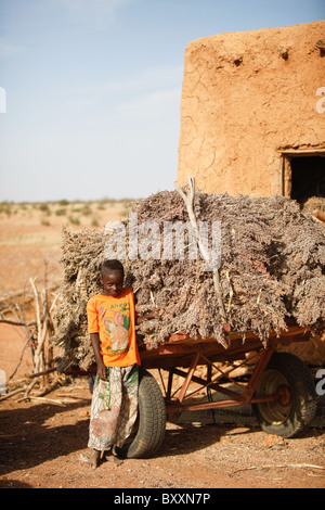 In Fulani villaggio di Jolooga nel nord del Burkina Faso, sorgo è raccolto e conservato in un grainery. Foto Stock