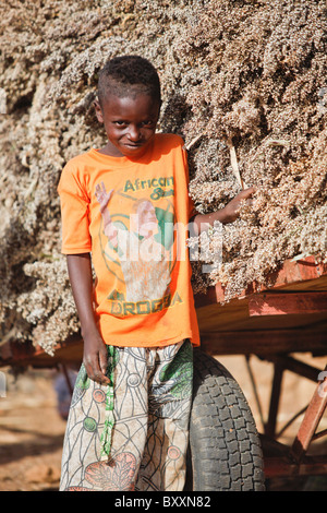 In Fulani villaggio di Jolooga nel nord del Burkina Faso, sorgo è raccolto e conservato in un grainery. Foto Stock