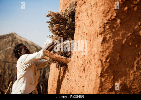 In Fulani villaggio di Jolooga nel nord del Burkina Faso, sorgo è raccolto e conservato in un grainery. Foto Stock