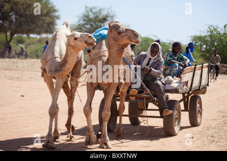 Un gruppo di Fulani cavalcare un cammello carrello attraverso il Villaggio Mercato di Bourro nel nord del Burkina Faso. Foto Stock