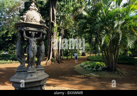 Jardin de l' État (membro del giardino), Saint Denis, La Reunion Island (Francia), l'Oceano Indiano Foto Stock