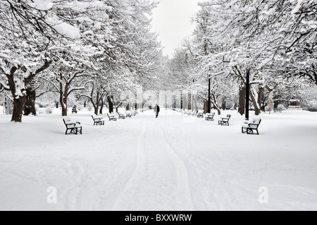 Un uomo che cammina in un inverno mattina dopo la tempesta di neve in Albany Washington Park, New York. Foto Stock