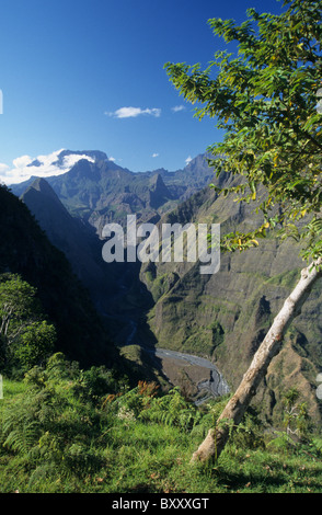 Riviere des Galets valley e torna il Cirque de Mafate con Piton des Neiges, visto dal Dos d'Ane, La Reunion Island (Francia) Foto Stock