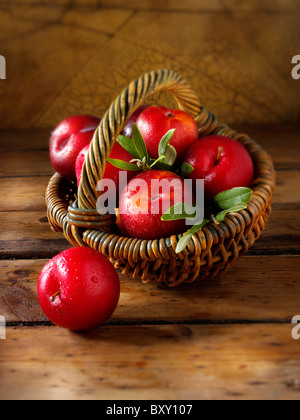 Raccolti freschi tutto rosso crudo Victoria le prugne in un cestello Foto Stock