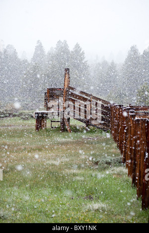 La neve cade su un ranch nelle montagne della Sierra Nevada della California. Foto Stock