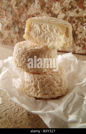 Francese tradizionale Ghevre regonal formaggi caprini Foto Stock