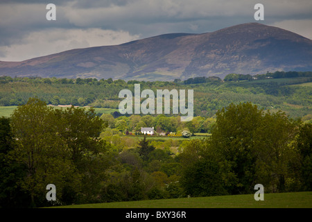 Agriturismo e vista in lontananza le montagne Knockmealdown a Glengoura, County Cork, Irlanda Foto Stock