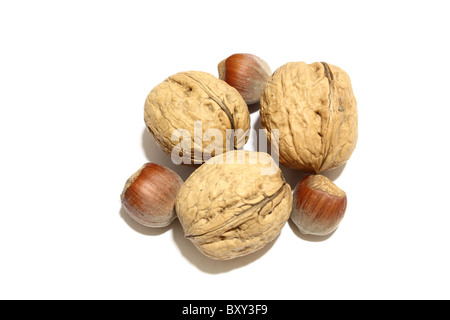 Un tiro di dadi e noci su sfondo bianco Foto Stock