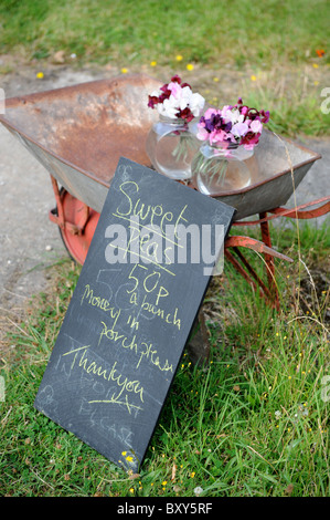 I grappoli di piselli dolci in vendita al di fuori di un smallholding Dorset Regno Unito Foto Stock